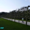 A picture of Rufford Abbey
