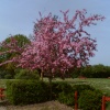 Totton, Hampshire