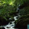 Lynmouth in Devon.