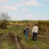 A walk through Ashdown Forest, East Sussex