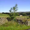 Alston Moor, Alston, Cumbria