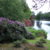 Sheffield Park, East Sussex