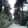 Leighton Buzzard
