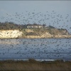 Pegwell, Kent