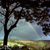 Coggers Lane Rainbow