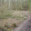 Destruction of Narnia?