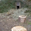 The C S Lewis Reserve
