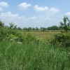 Fosse Meadows, Sharnford, Leicestershire