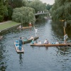 Punting in Cambridge