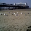 weston pier from the beach