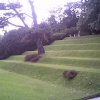 part of the amphitheatre at Dartington hall, Devon