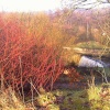Reddish, Greater Manchester