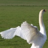 Upper Heyford, Oxfordshire