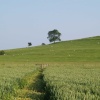 Country walk near Quainton
