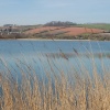 Slapton Ley, Torcross, Devon