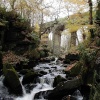 Healey Dell, Whitworth, Lancashire