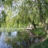The village pond, Irby, Lincolnshire