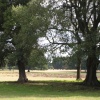Holkham Hall Gardens - Norfolk