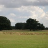 Holkham Hall Gardens - Norfolk