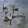 Rother Valley Country Park in South Yorkshire