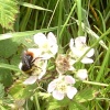 Rother Valley Country Park, South Yorkshire
