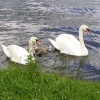 Rother Valley Country Park, South Yorkshire