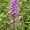 Rother Valley Country Park, South Yorkshire