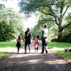 Westonbirt Arboretum, Westonbirt, Gloucestershire