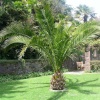 Overbeck's Gardens, Salcombe, Devon