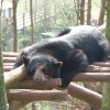 South Lakes Wildlife Park, Dalton in Furness