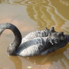 South Lakes Wildlife Park, Dalton in Furness