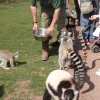 South Lakes Wildlife Park, Dalton in Furness