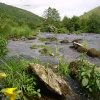 A view looking back up the River Wye on the Monsal Dale - Peak District