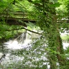 Former Weir that fed the old Cress brook Mill  in the Dales