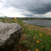 Sturt Pond, Milford on Sea