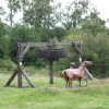 Swannington, Leicestershire