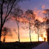 Cannock Chase Country Park, Staffordshire