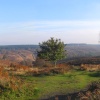 Cannock Chase Country Park, Staffordshire