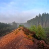 Cannock Chase Country Park, Staffordshire