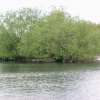 Baffins Pond, Portsmouth
