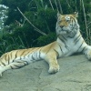 Isle of Wight Zoo, Sandown, Isle of Wight