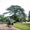 Osborne House Grounds, Isle of Wight