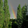Blenheim Rainbow