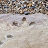 Fairlight Cove, East Sussex