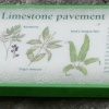 Limestone Pavement Plaque