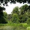 Blenheim Lake King Pool