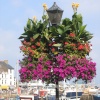 Brixham Harbour, Devon