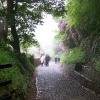 Clovelly, Devon