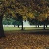 Hyde Park, London