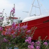 Bembridge, Isle of Wight